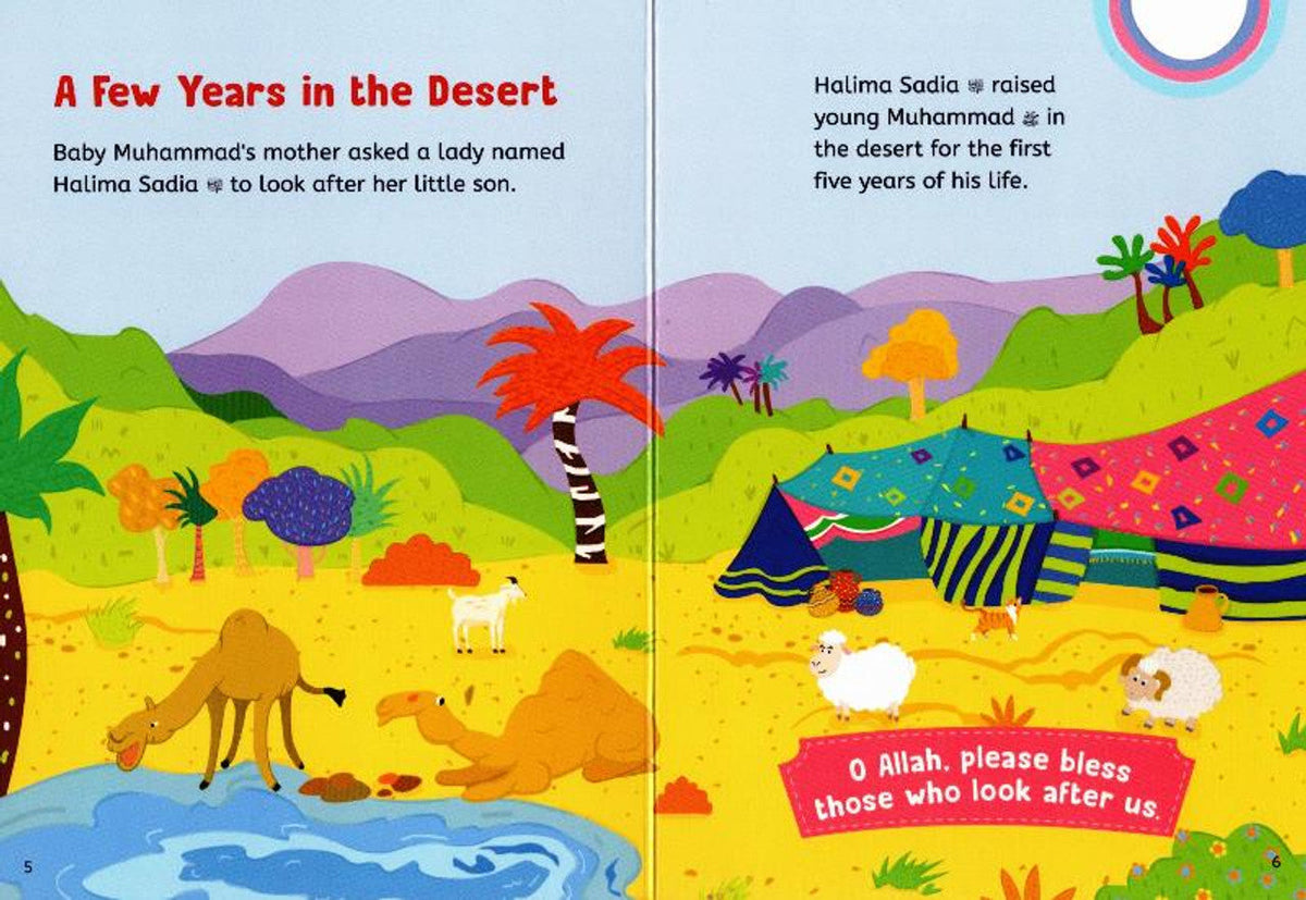 Baby's First Prophet Muhammad Stories by Saniyasnain Khan