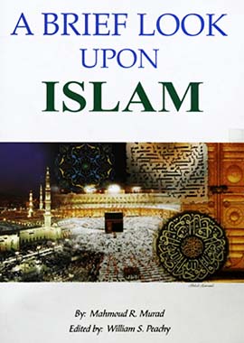 A Brief Look Upon Islam by Dr. Manaal Afzaal