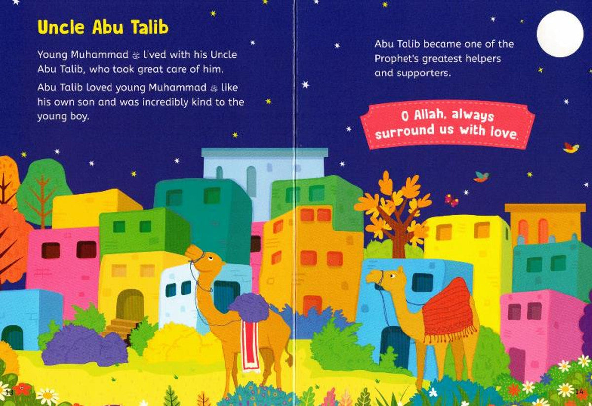 Baby's First Prophet Muhammad Stories by Saniyasnain Khan