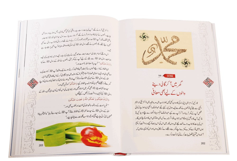 Akhlaq e Nabwi Ke Sunehre Waqiyaat by Abdul Malik Mujahid