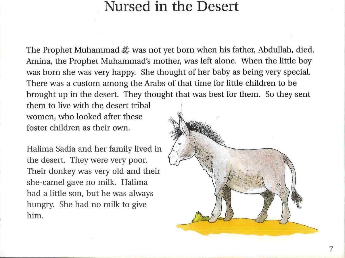 Goodnight Stories from the Life of the Prophet Muhammad - English by Saniyasnain Khan